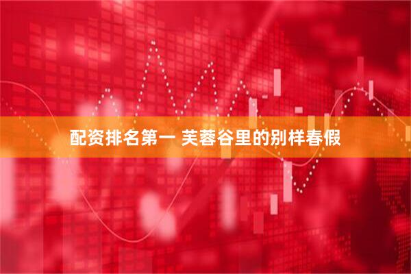 配资排名第一 芙蓉谷里的别样春假